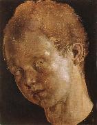Albrecht Durer Head of a boy facing toward the left oil painting artist